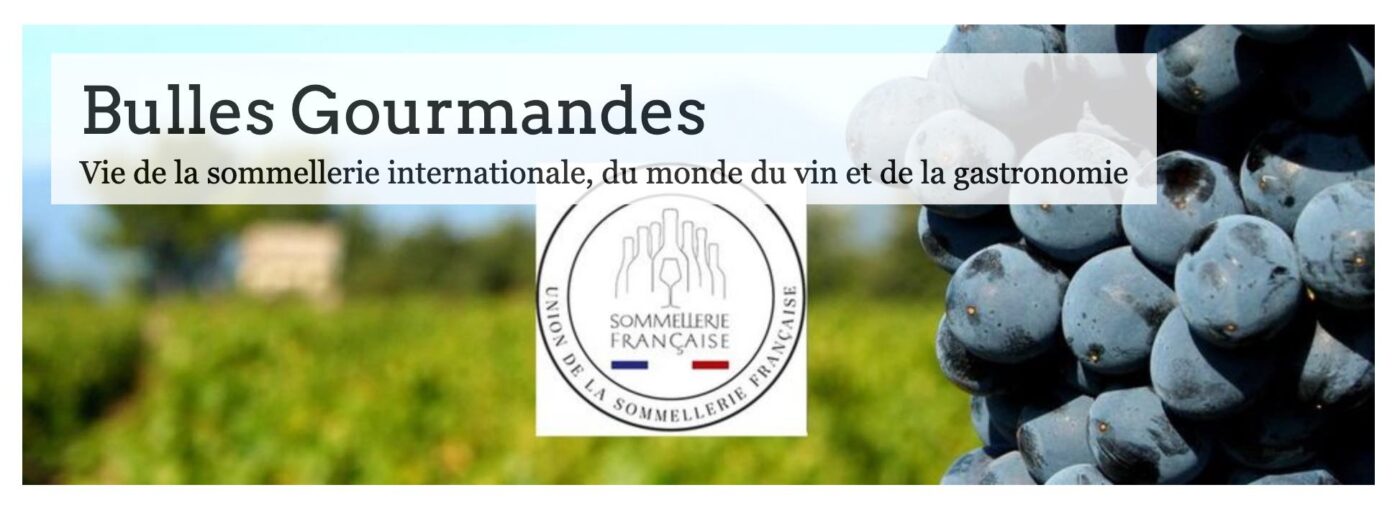 LE PONT CAUCASIEN Importateur France de Vins Géorgiens