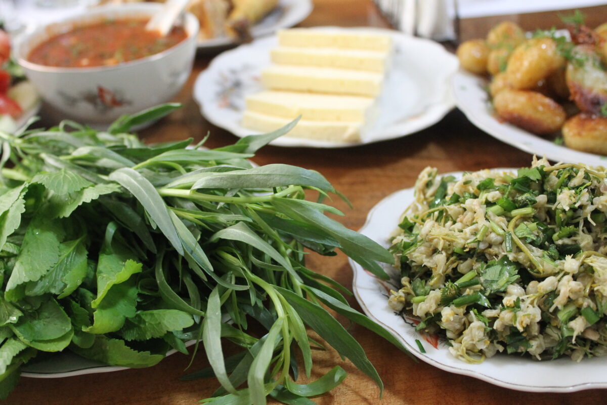 LE PONT CAUCASIEN Importateur France de Vins Géorgiens